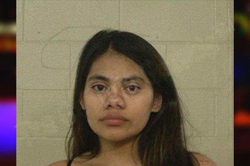 Karen Dodge Mugshots