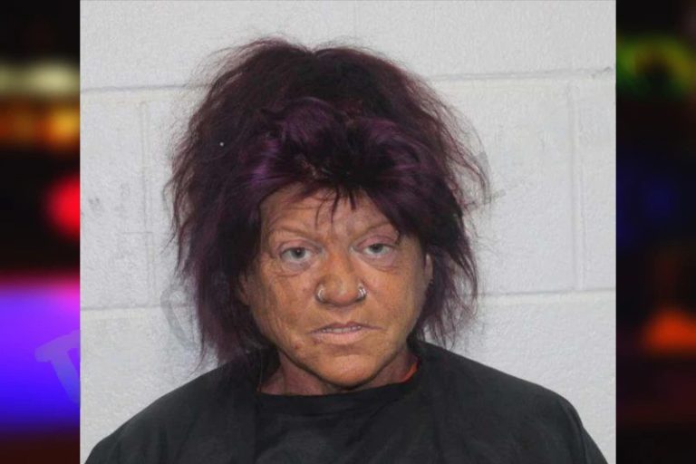 Karen Ford mugshot – Habersham County , Georgia Karen Ford