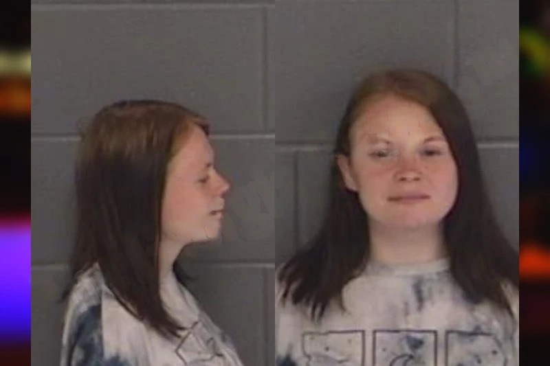 Karissa Grant mugshot – Barrow County , Georgia Karissa Grant mugshot