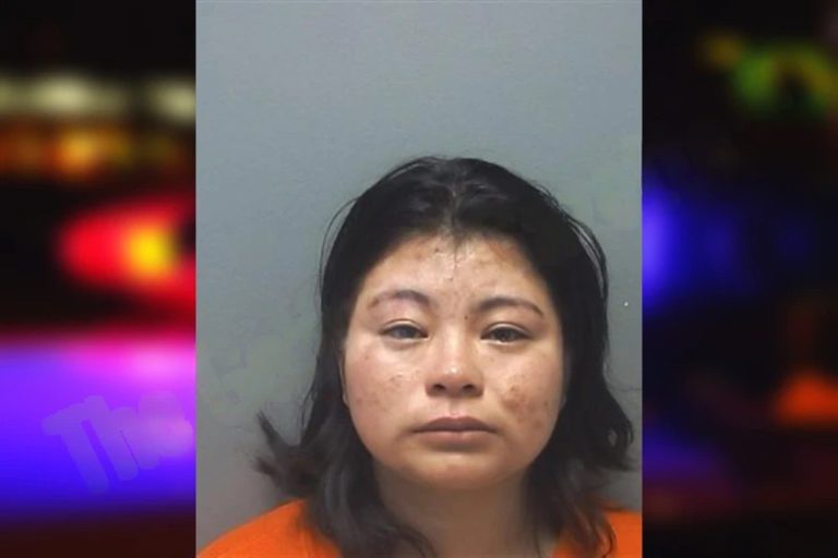 Karla Gonzales-Domingo mugshot – Cherokee County , Georgia Karla Gonzales-Domingo