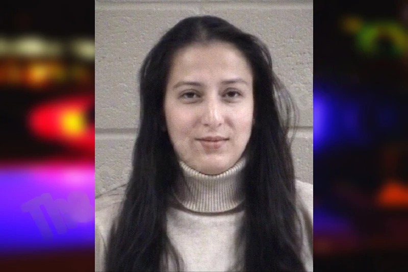 Karla Mejia-Alvarez Mugshots