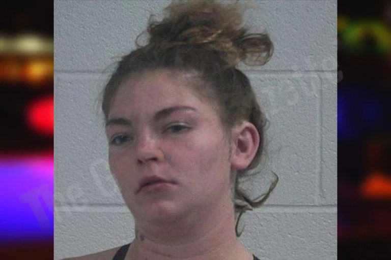 Katelyn Knox mugshot – McDuffie County , Georgia Katelyn Knox