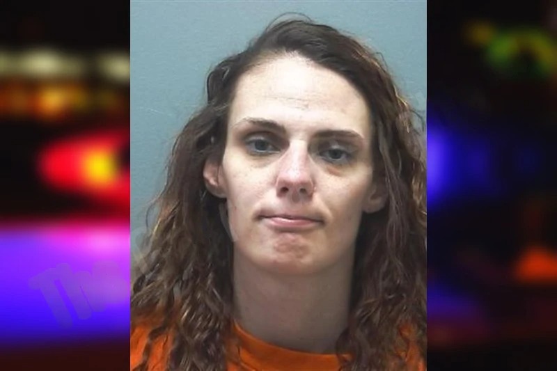 Katie Buffington mugshot – Cherokee County , Georgia Katie Buffington mugshot