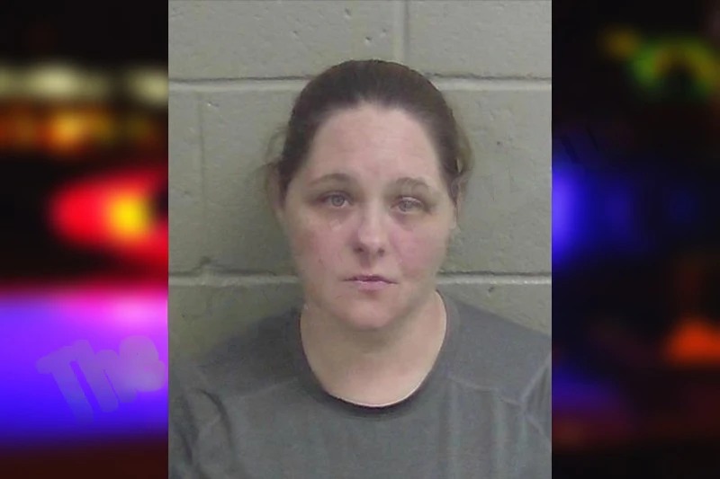 Katie Clinton Mugshots