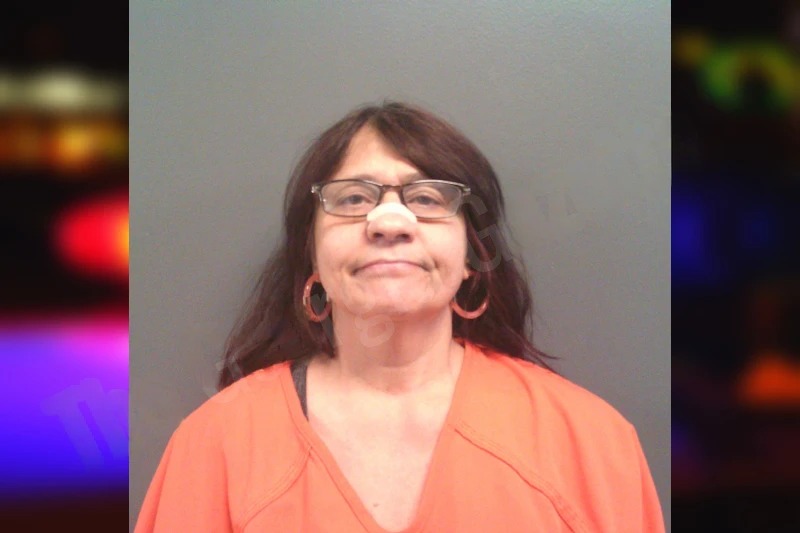 Katie Garnham-Amami mugshot – Lumpkin County , Georgia Katie Garnham-Amami mugshot