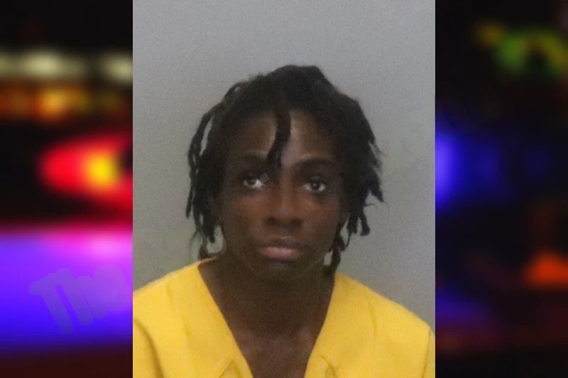 Kattie Harris mugshot