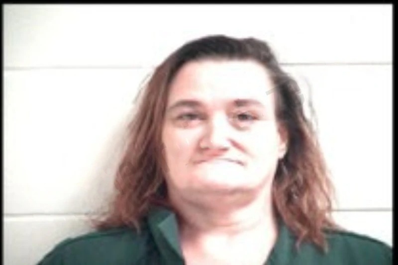 Kayte West mugshot – Henry County , Georgia Kayte West mugshot