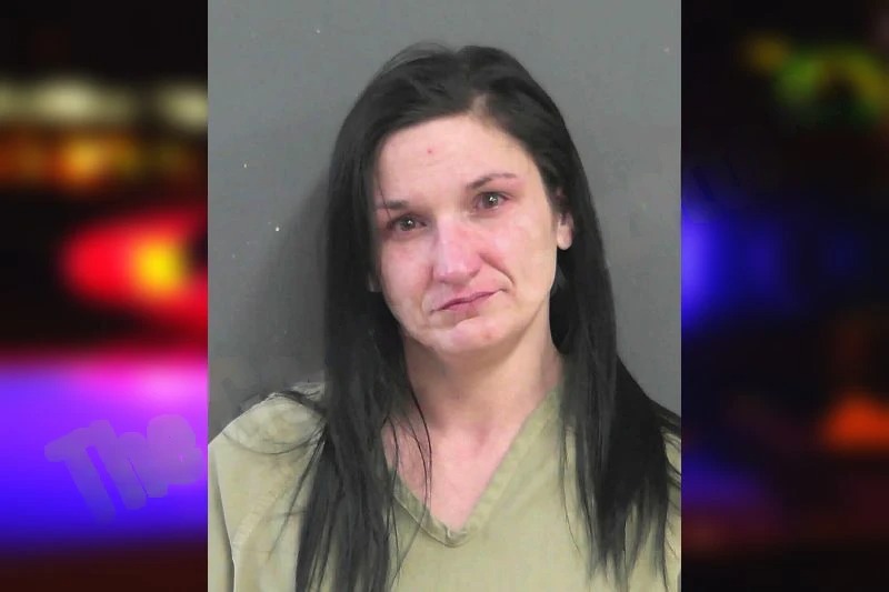 Kelley Collins Mugshots