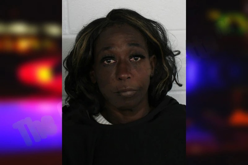 Kelly Diamond Mugshots