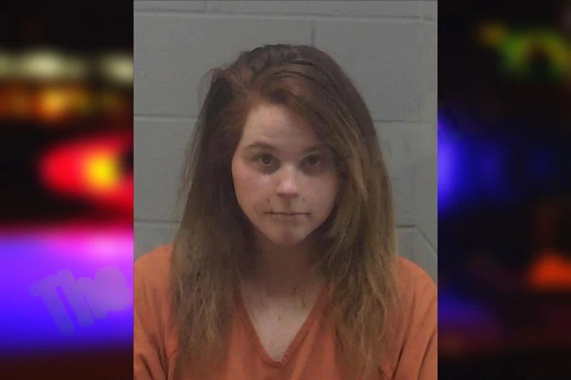 Kelly McAleese Mugshots