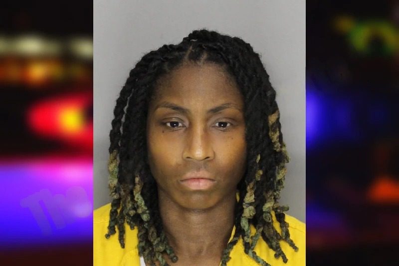 Kenya Johnson Mugshots