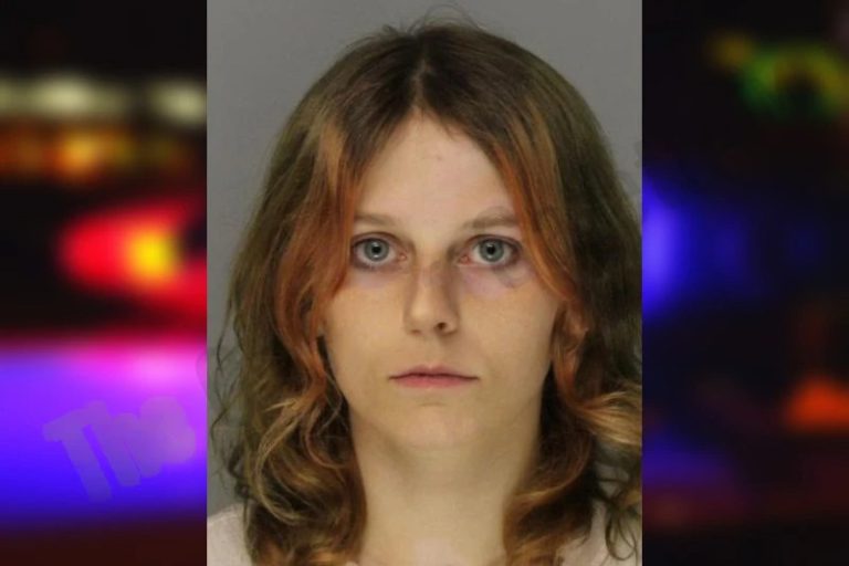 Kimberly Allred mugshot – Hall County , Georgia Kimberly Allred