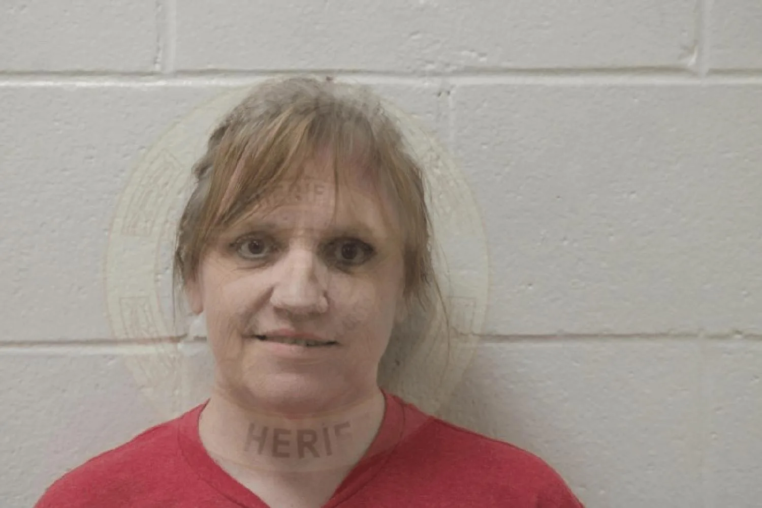 Kimberly Johnson Mugshots