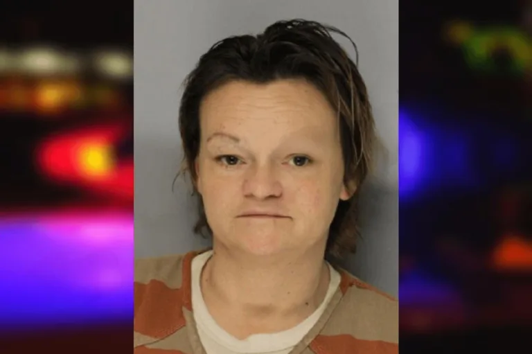 Kimberly Taylor mugshot – Hall County , Georgia Kimberly Taylor
