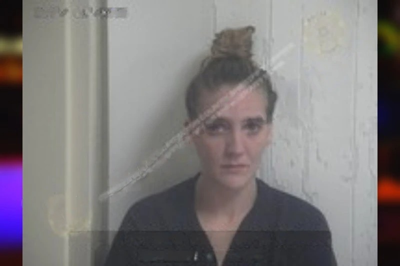 Kimberly Williamson Mugshots