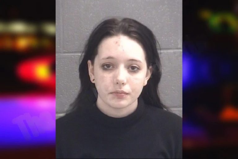 Kinsey Sanders mugshot – Spalding County , Georgia Kinsey Sanders