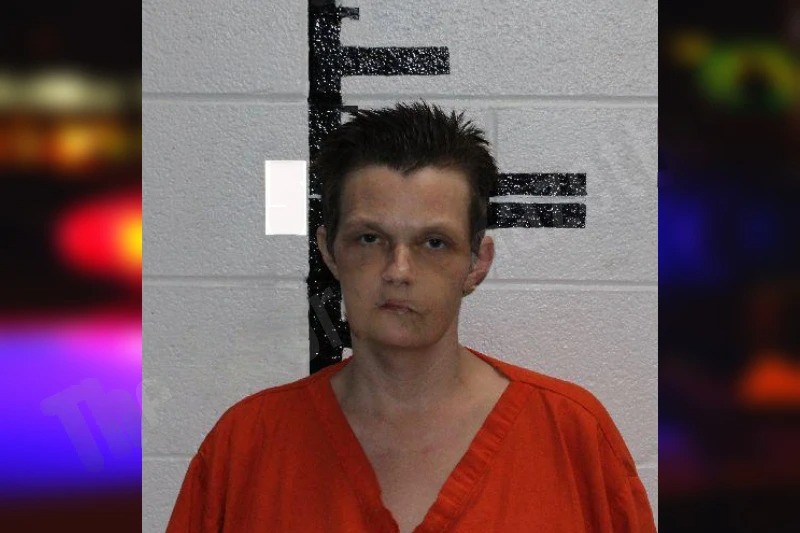 Kirstie Gillespie mugshot – Murray County , Georgia Kirstie Gillespie mugshot