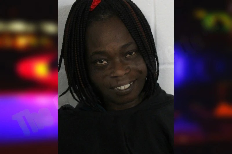 Kizie Donaldson Mugshots