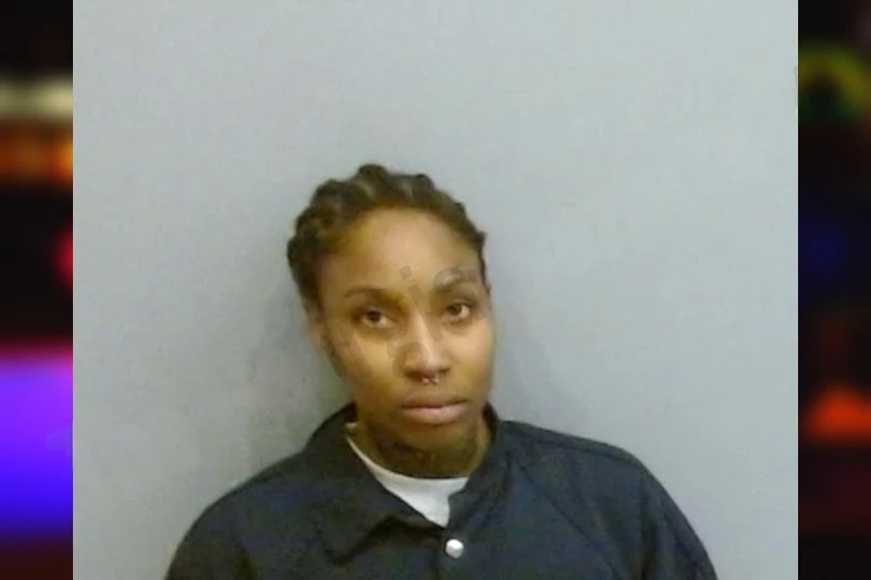 Kristen Davis mugshot – Fulton County , Georgia Kristen Davis mugshot