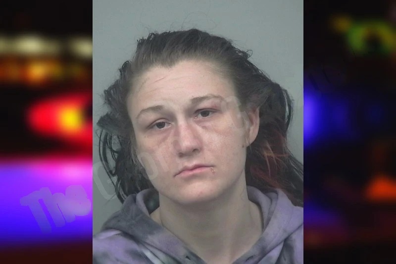 Kristen Watson Mugshots