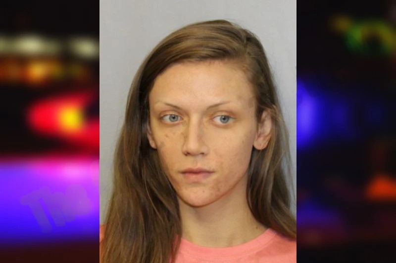 Kristin Link mugshot – Hall County , Georgia Kristin Link mugshot