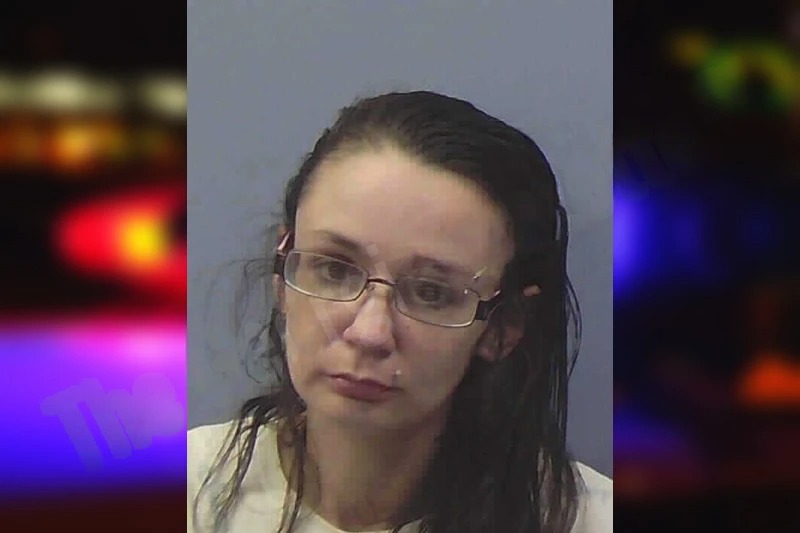 Kristina Chandler mugshot