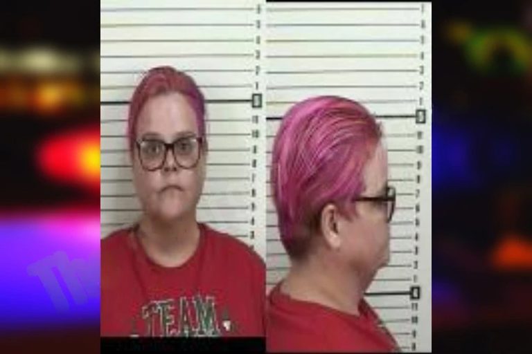 Krystal Renfro mugshot – Camden County , Georgia Krystal Renfro