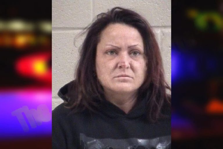 Krystal Simpson mugshot – Whitfield County , Georgia Krystal Simpson