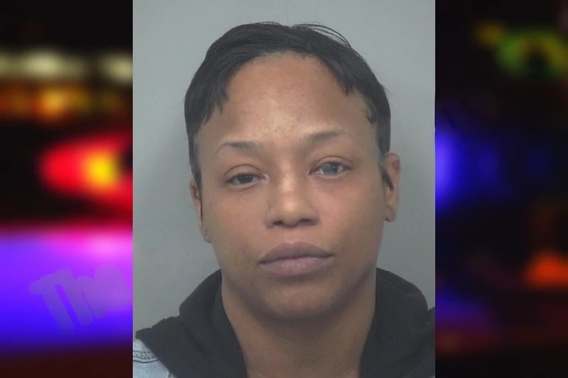 Krysten Adams Mugshots