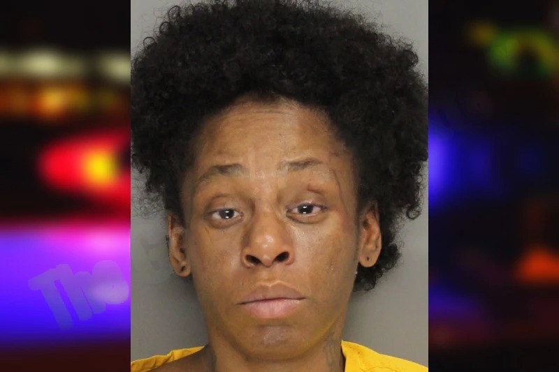 Krystle Watkins Mugshots