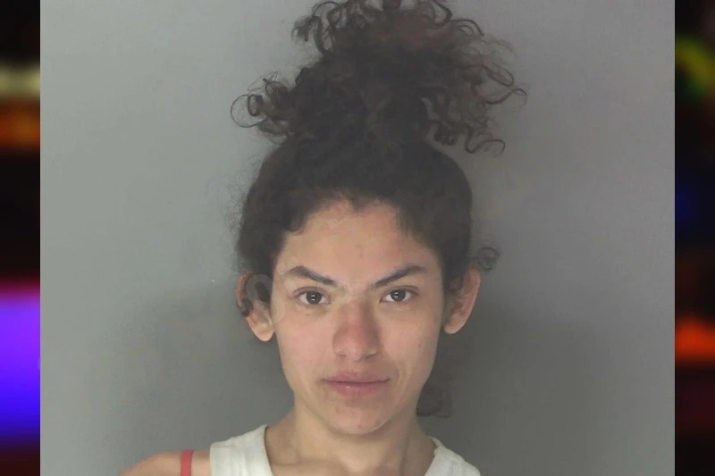 Kyrsten Lagunas Mugshots