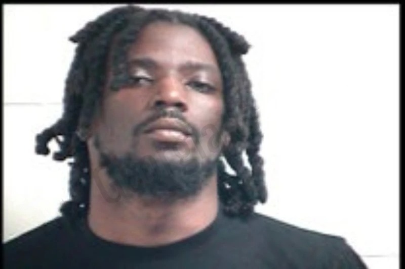 La Princeton Rogers mugshot – Henry County , Georgia La Princeton Rogers mugshot