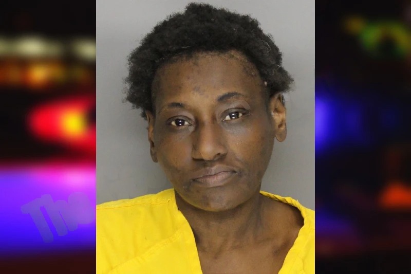 Lakesha Moore mugshot – Cobb County , Georgia Lakesha Moore mugshot