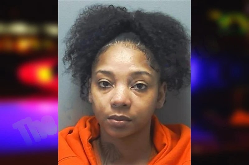 Lameisha Moore mugshot – Cherokee County , Georgia Lameisha Moore mugshot