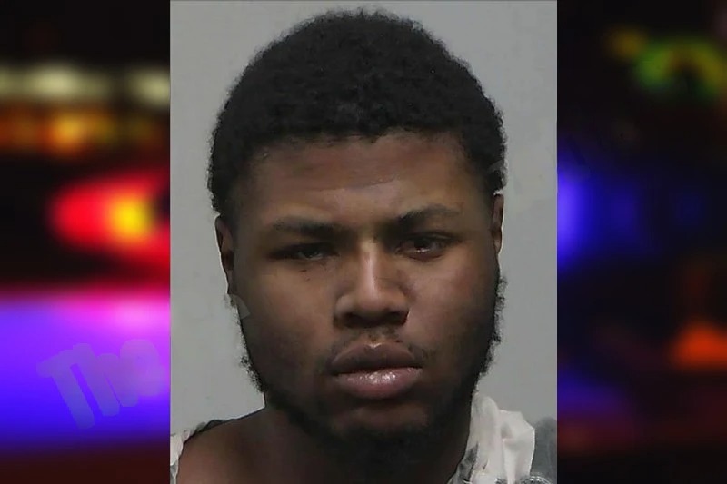 Landis Mitchell Mugshots