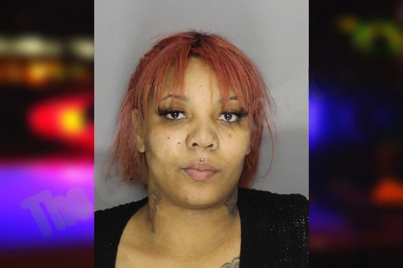 Laquanda Daniel mugshot – Cobb County , Georgia Laquanda Daniel mugshot