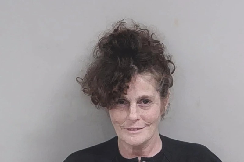 Larraine Henson Mugshots