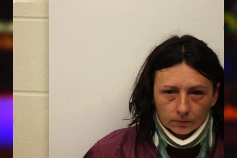 Lateesha Cain Mugshots