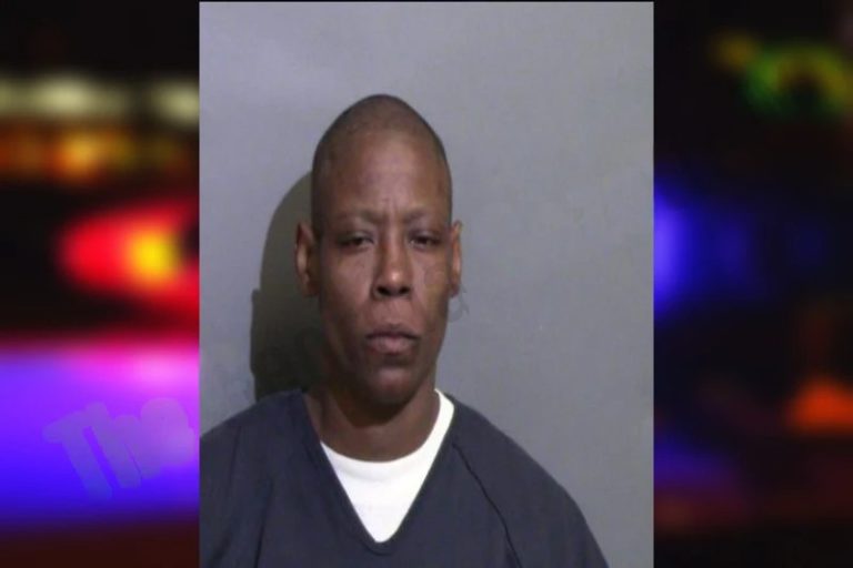 Latesha Burnley mugshot – Glynn County , Georgia Latesha Burnley