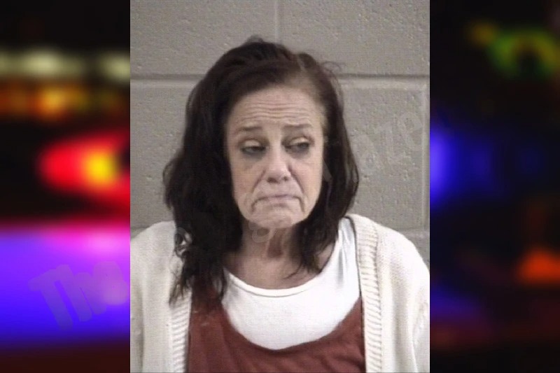 Laura Adams Mugshots