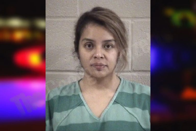 Laura Garcia-Alvarez mugshot – Whitfield County , Georgia Laura Garcia-Alvarez