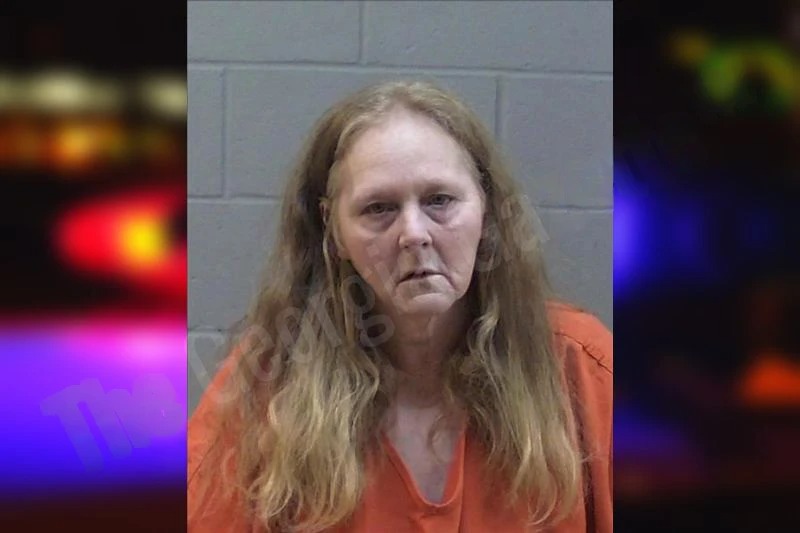 Laura Jackson Mugshots