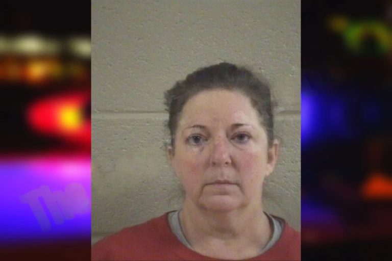 Laura Martin mugshot – Whitfield County , Georgia Laura Martin