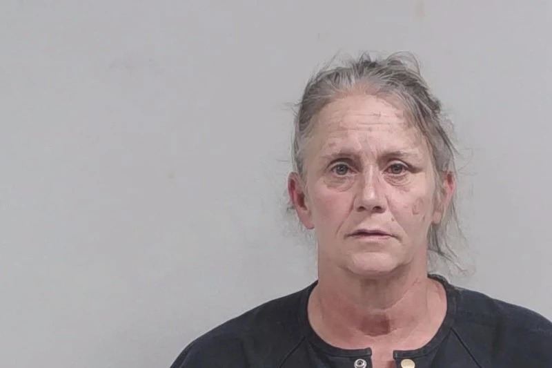 Laura Shelley Mugshots