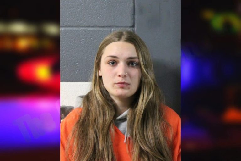 Lauren Ahmad mugshot – Lumpkin County , Georgia Lauren Ahmad