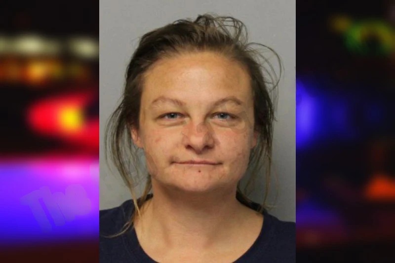 Lauren Dempsey Mugshots