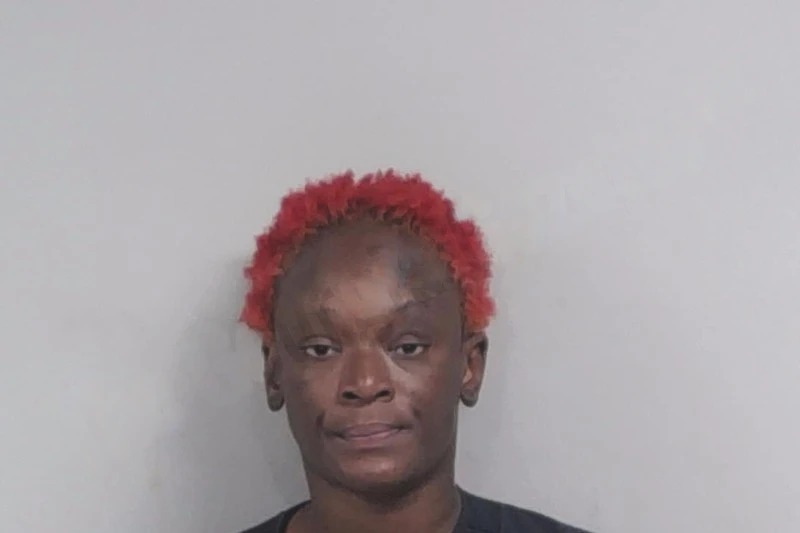 Lavita Daniels Mugshots