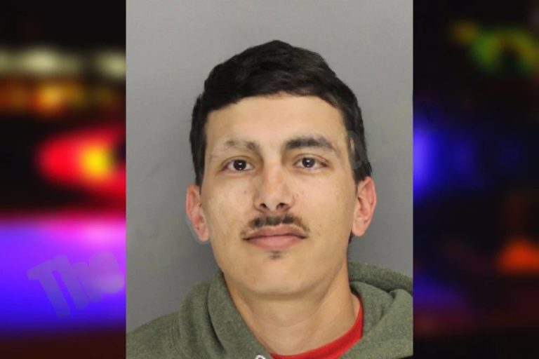 Lawrence Mayes mugshot – Houston County , Georgia Lawrence Mayes