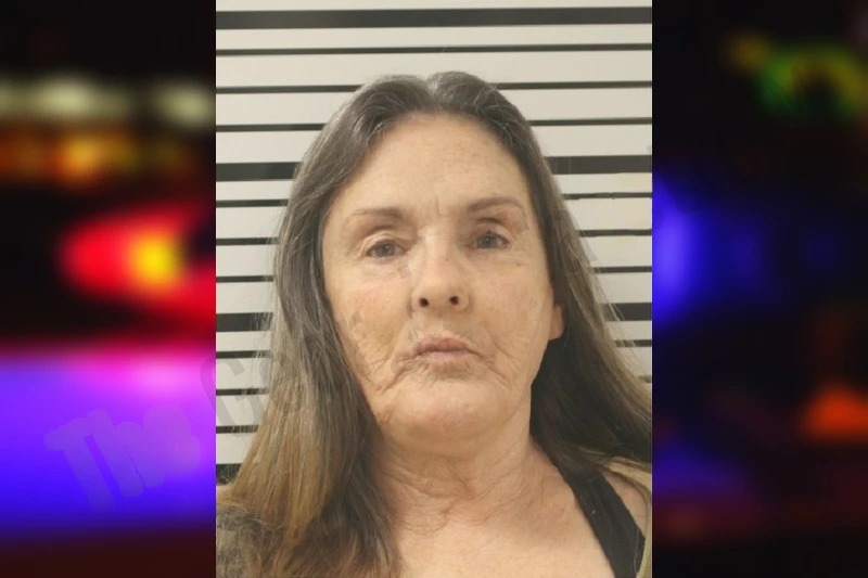 Leah Clark mugshot – Toombs County , Georgia Leah Clark mugshot