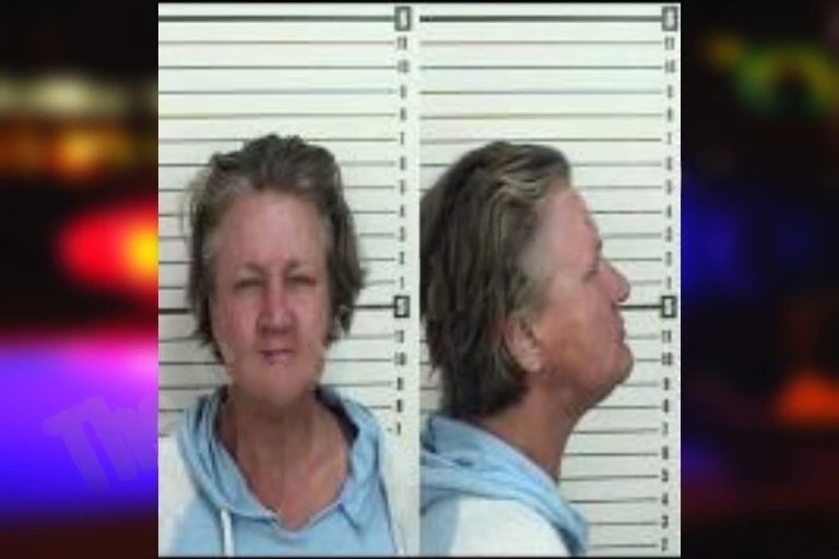 Leanna Blankenship mugshot – Camden County , Georgia Leanna Blankenship